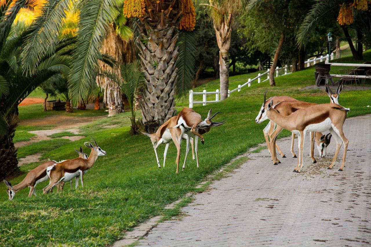 Ikaia River Lodge Keimoes Kültér fotó